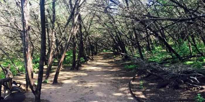 Hike Turkey Creek Trail